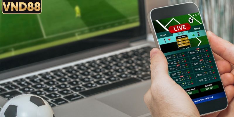 Bí kíp theo dõi và bắt kèo các trận đấu hiệu quả
