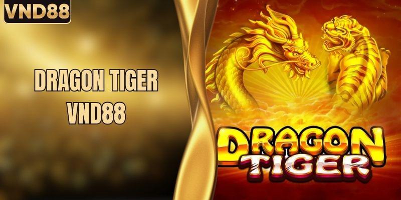 Dragon Tiger Là Gì? Học Ngay Cách Chơi Và Mẹo Cơ Bản 6 Dragon Tiger Là Gì? Học Ngay Cách Chơi Và Mẹo Cơ Bản